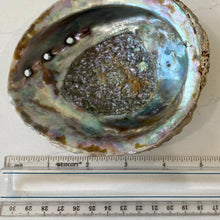 Abalone Shell Smudge Bowl