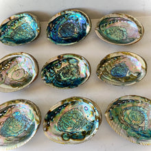 Abalone Shell Smudge Bowl